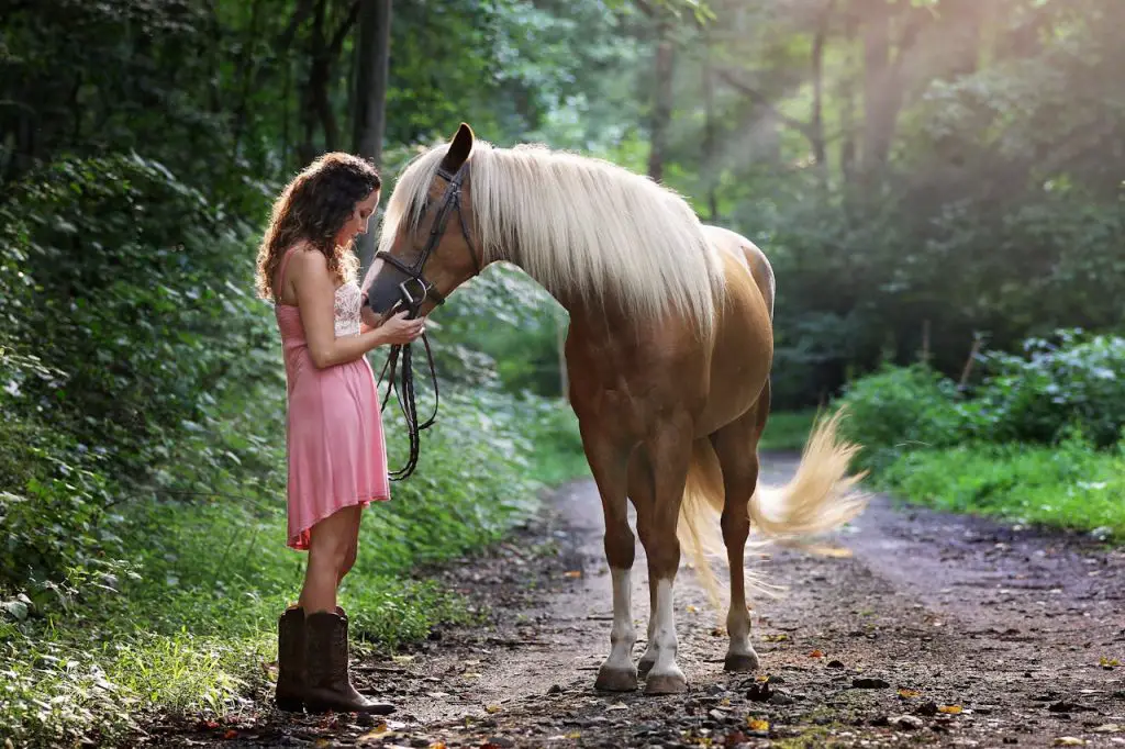 Deze foto symboliseert de band tussen paard en mens